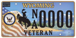 wyoming veteran navy example