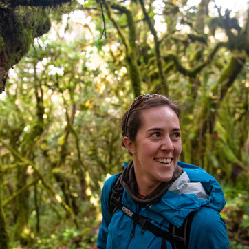 A student look on in a rainforest of a UW study abroad trip.