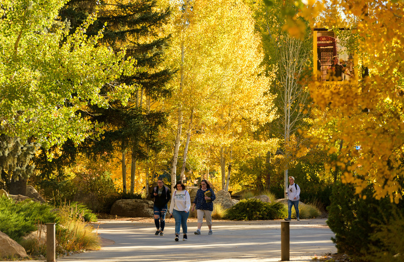 image of campus walkways in the Fall