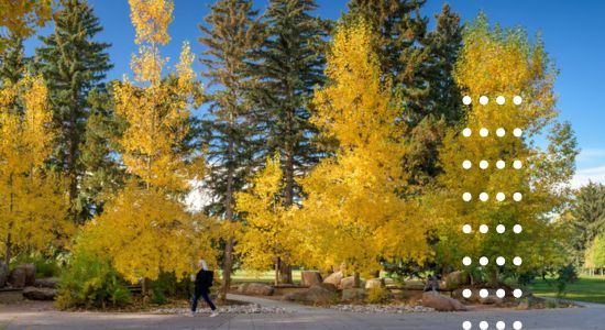 UW campus in the fall