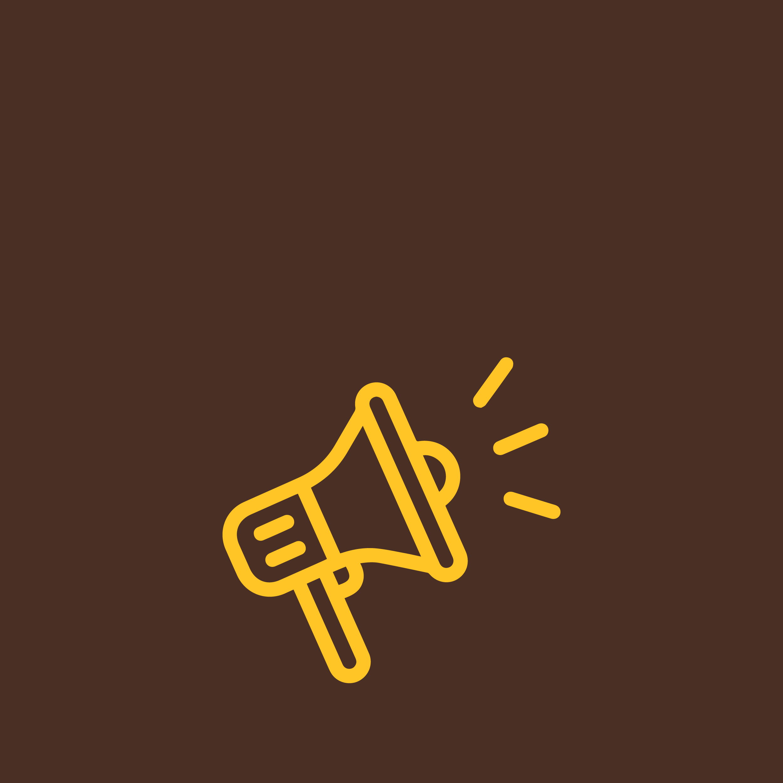 Megaphone