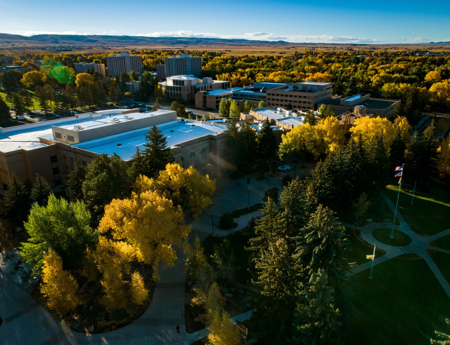 Bird's eye view of half acre and the union 