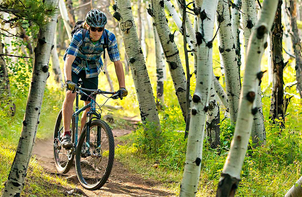 a person riding a bicycle on a dirt path through the trees in the summertime