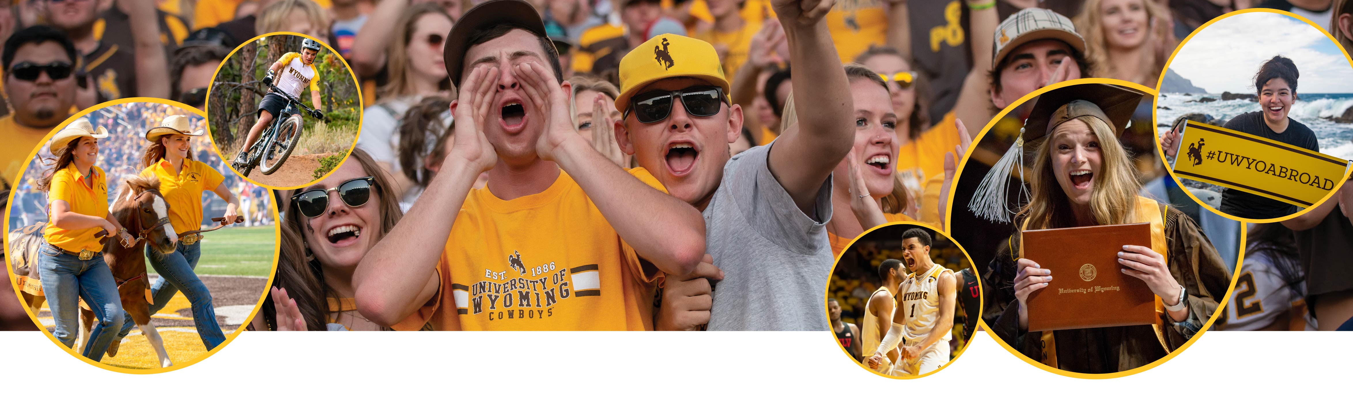 A collage of students cheering