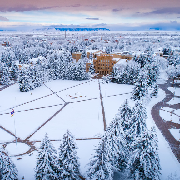 Campus in the winter