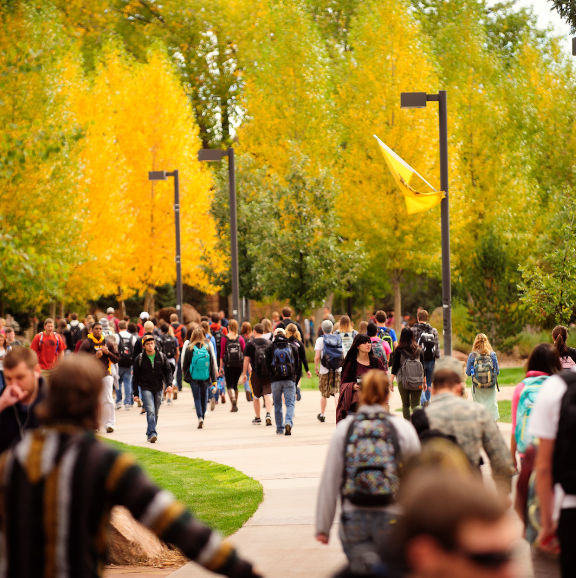 Student walk across campus in the fall