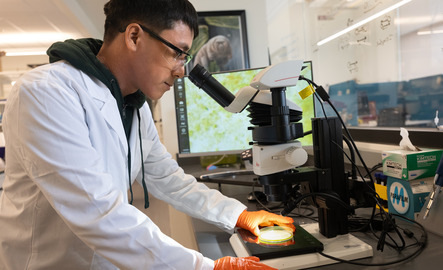 A University of Wyoming graduate student wears a lab coat and studies something under a microscope in a lab on UW’s campus.