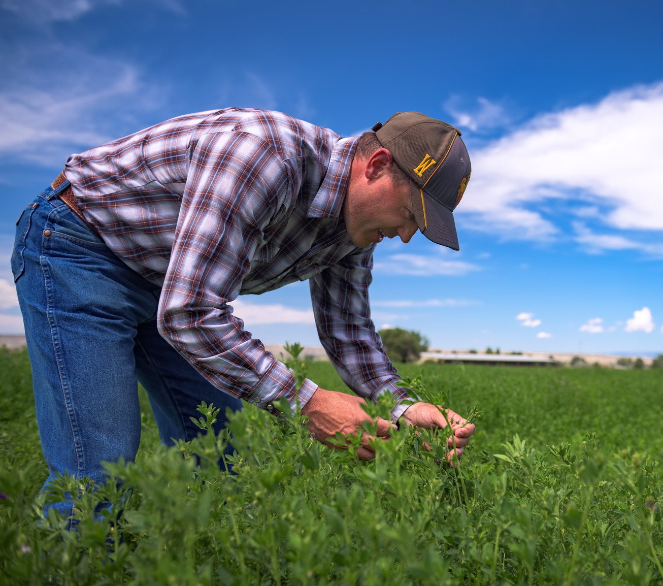 Professor out in field