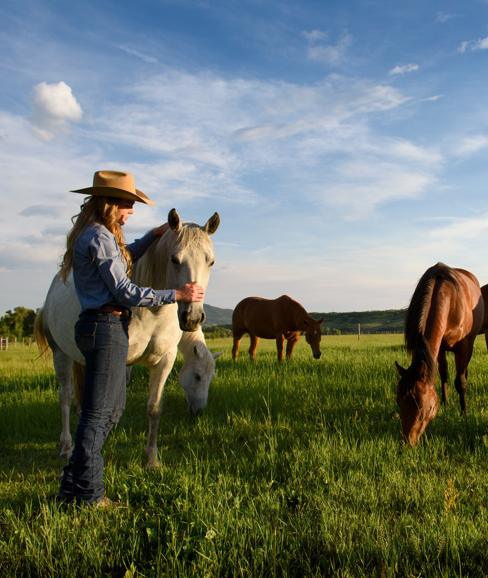 Student with horses