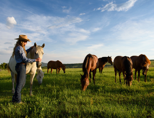 Student with horses