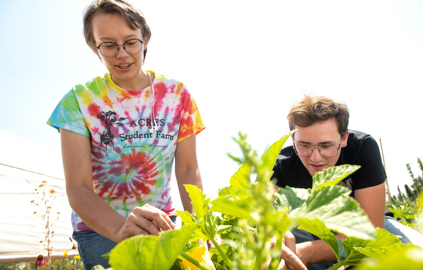 Two students look at a plant together