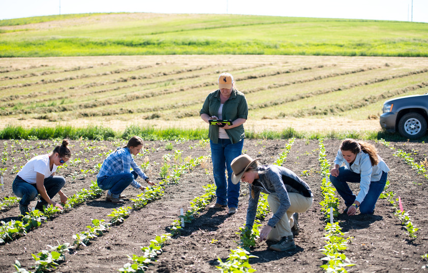 A professor watches students in the field