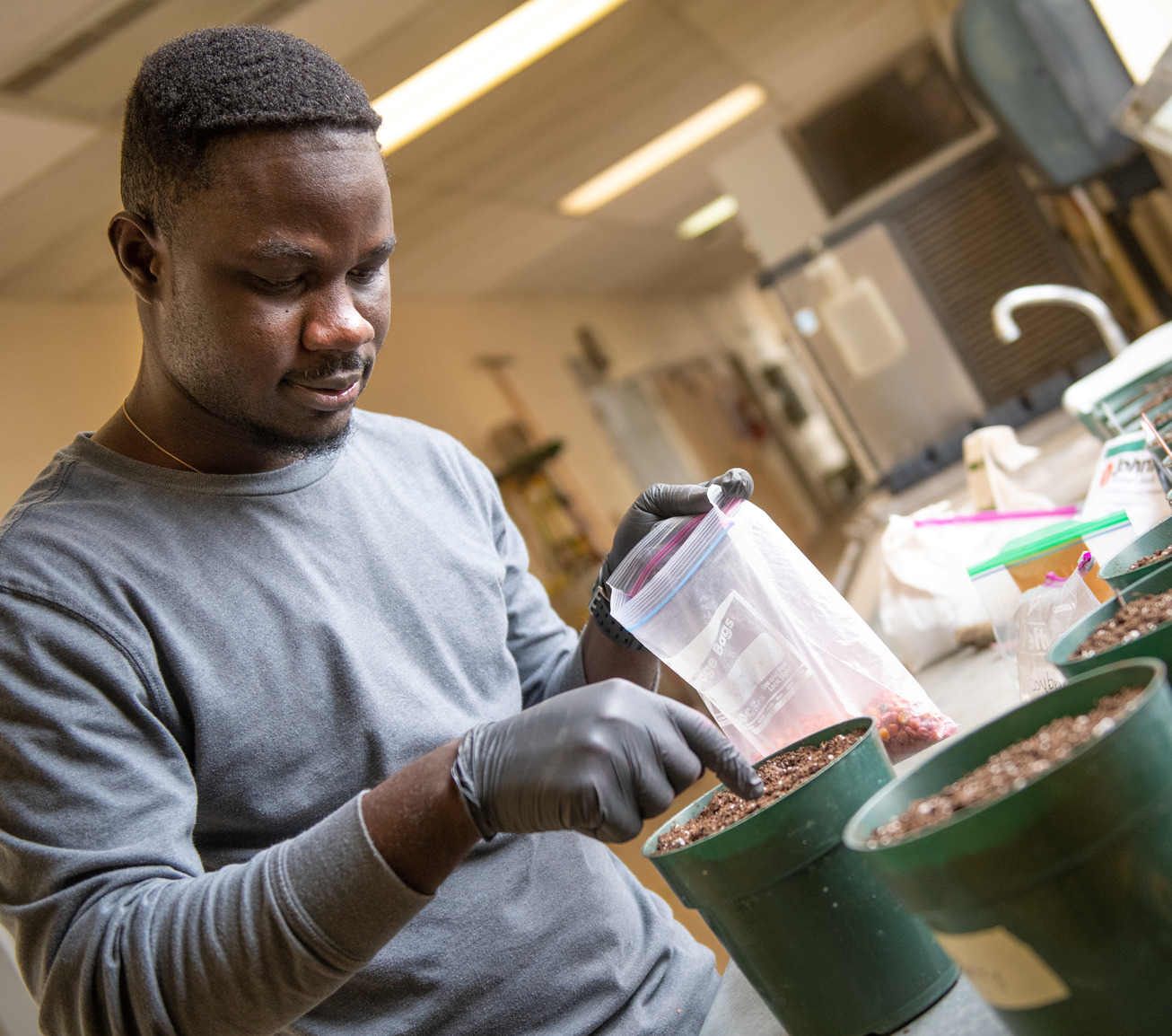 A student looking at soil