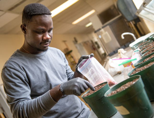 A student looking at soil