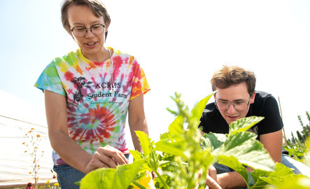 Two students look at a plant together