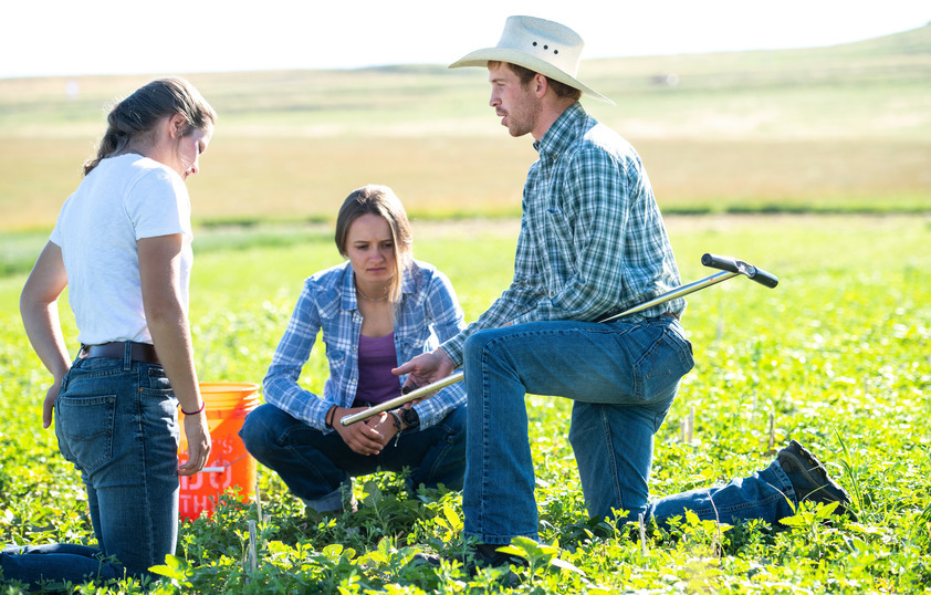 A professor measures a plant while a student takes notes