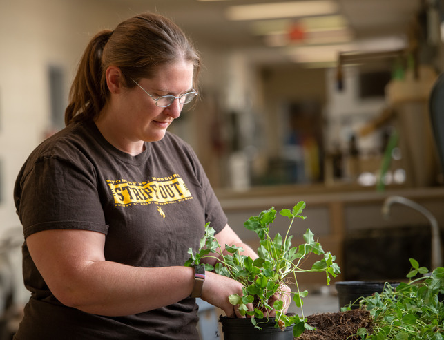 A student plants a plant