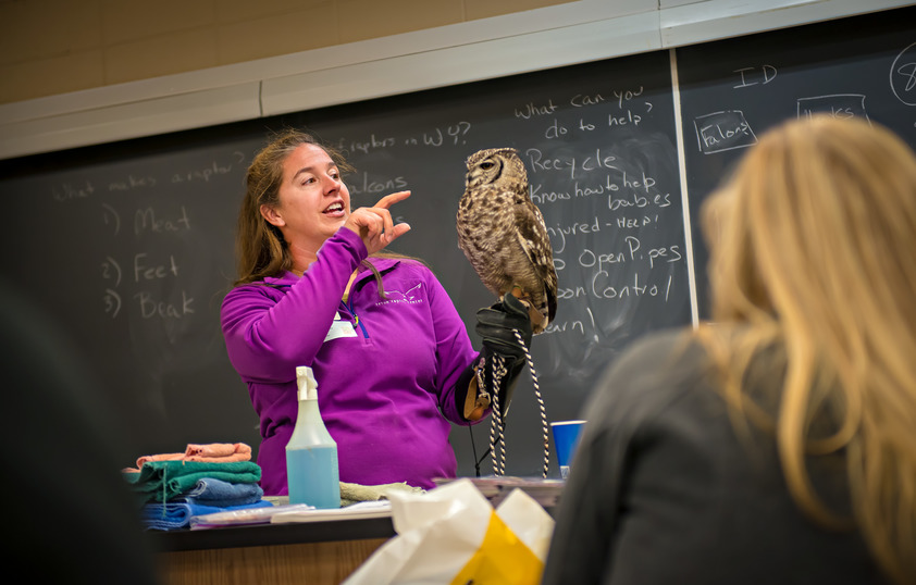 Professor teaching class with owl on their arm