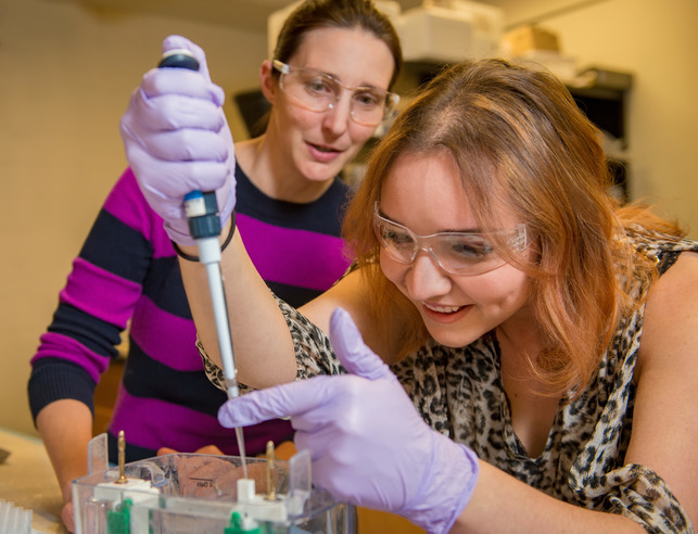 Two people in a lab