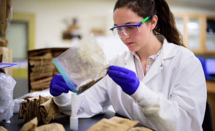Student in lab