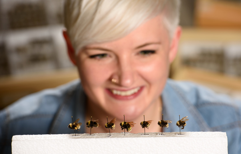 Researcher with her bees