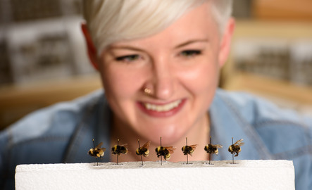 Student looks at bees.