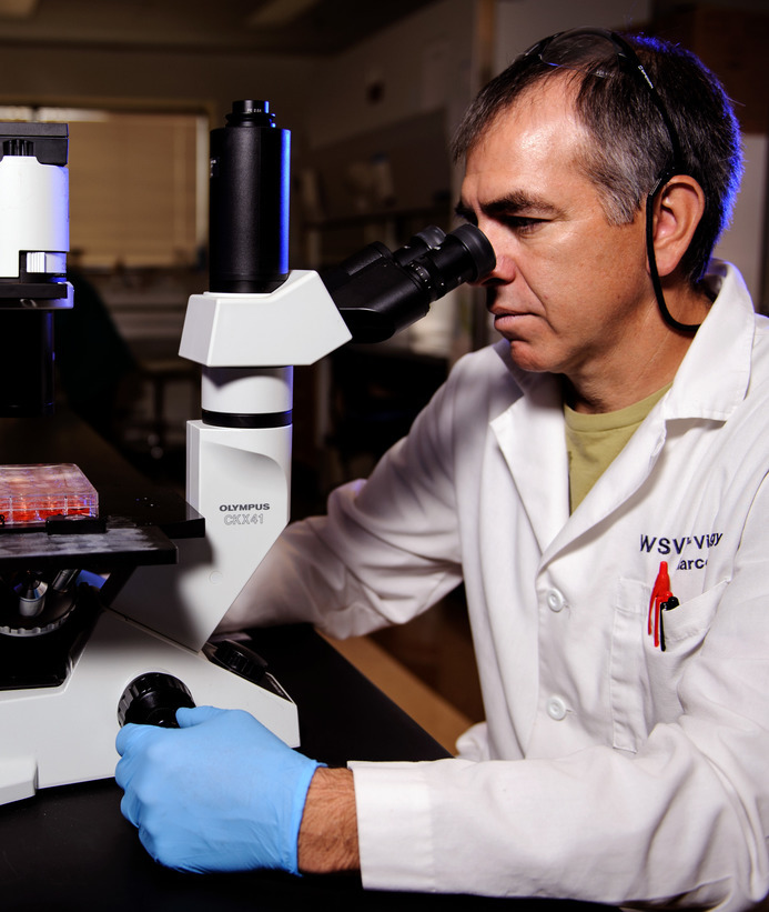 Animal and veterinary science professor in lab