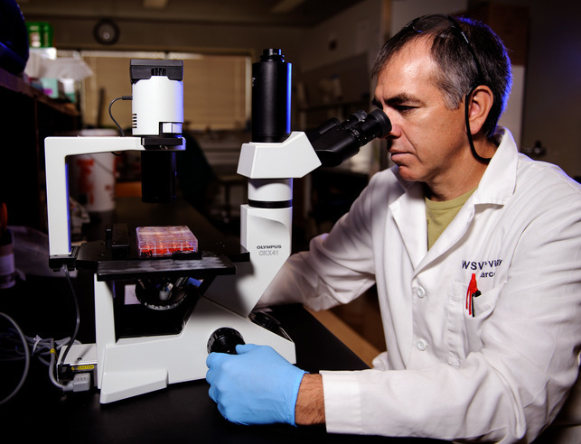 Animal and veterinary science professor in lab