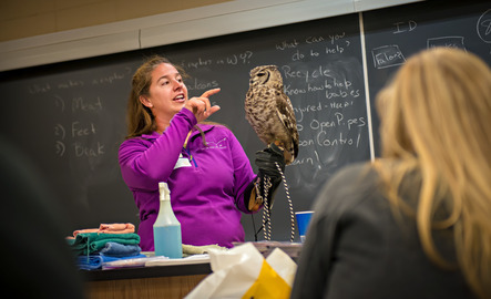 Professor teaching class with owl on their arm