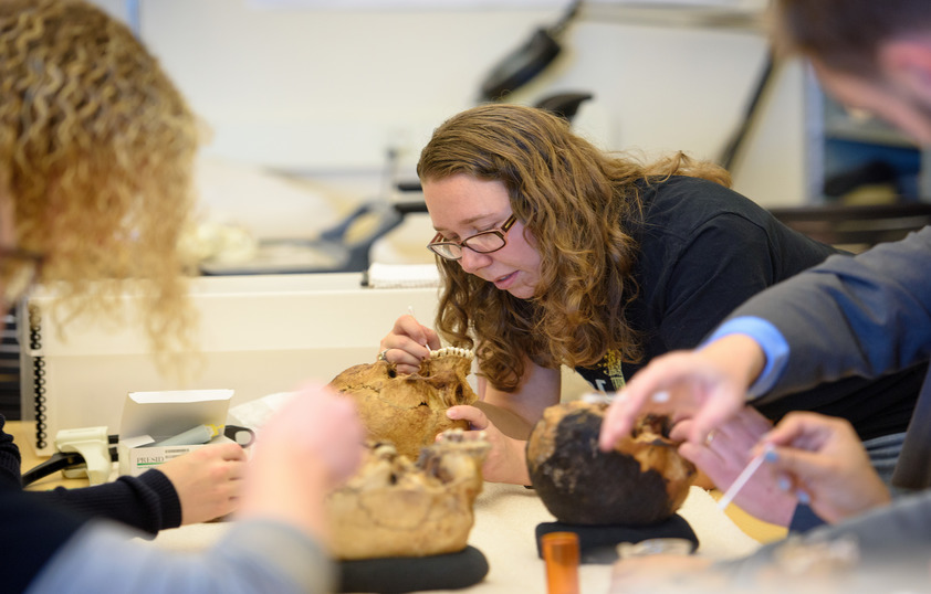 Researcher examining skull