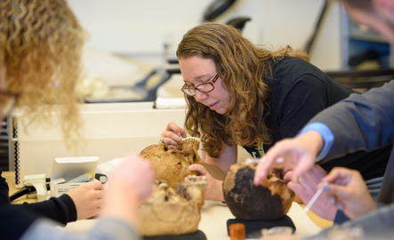 Researcher examining skull