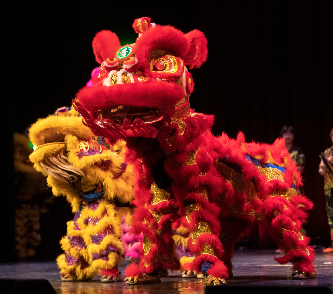 Lion Dance performed by the Colorado Asian Cultural Heritage Center Team
