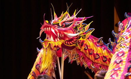 Lion Dance performed by the Colorado Asian Cultural Heritage Center Team