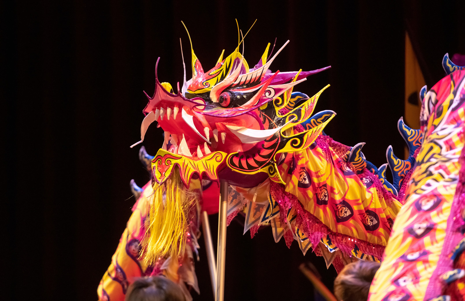Lion Dance performed by the Colorado Asian Cultural Heritage Center Team