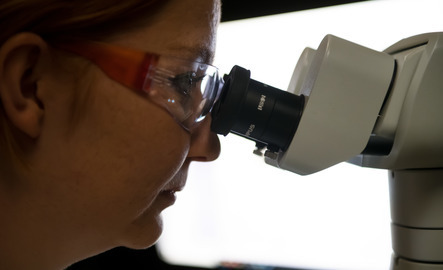 Student looking into microscope