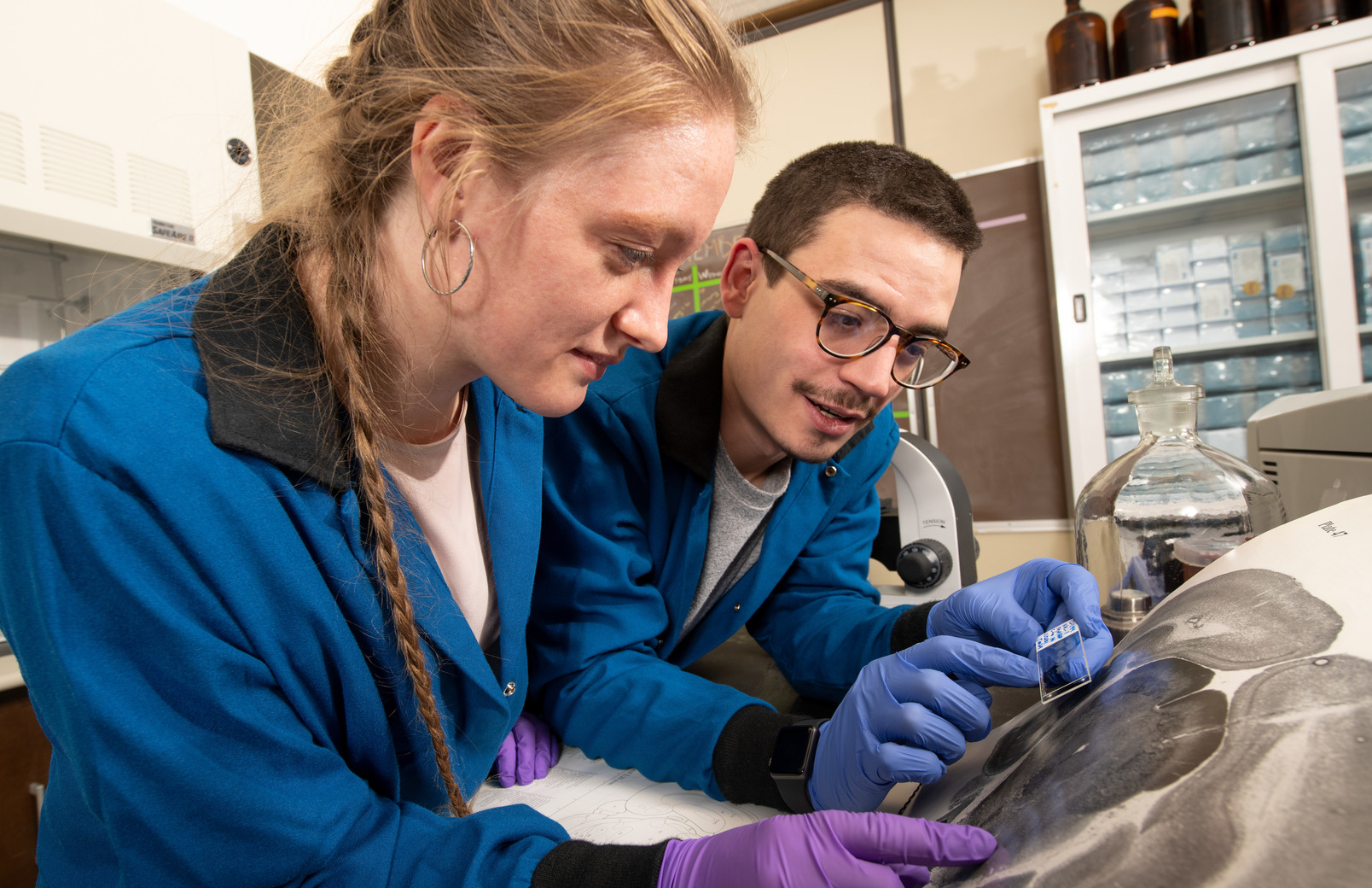 Students in lab