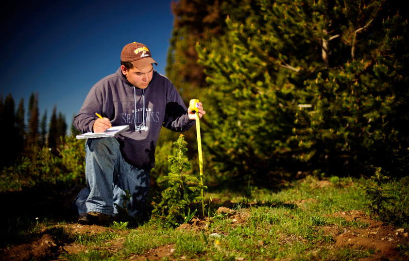 Student measuring plant out in the the field
