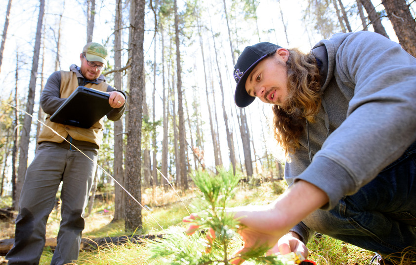 Two students out in the field