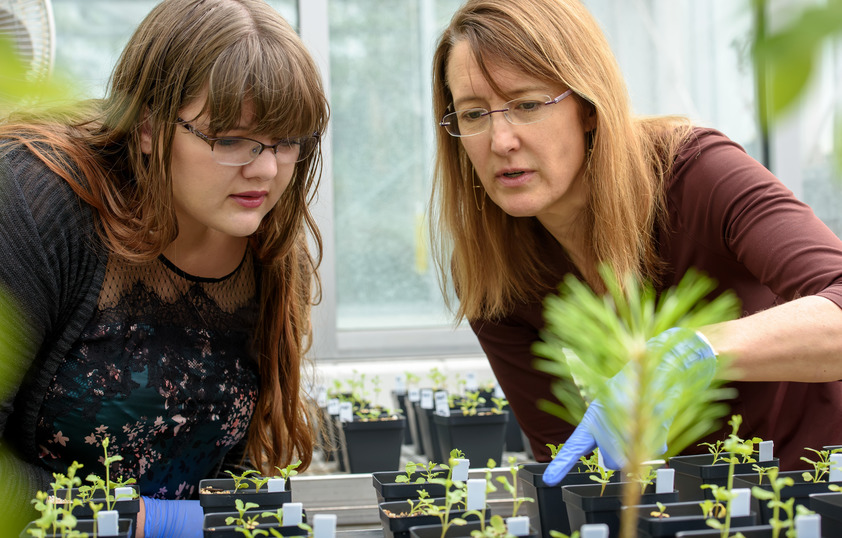 Student and professor examining plant
