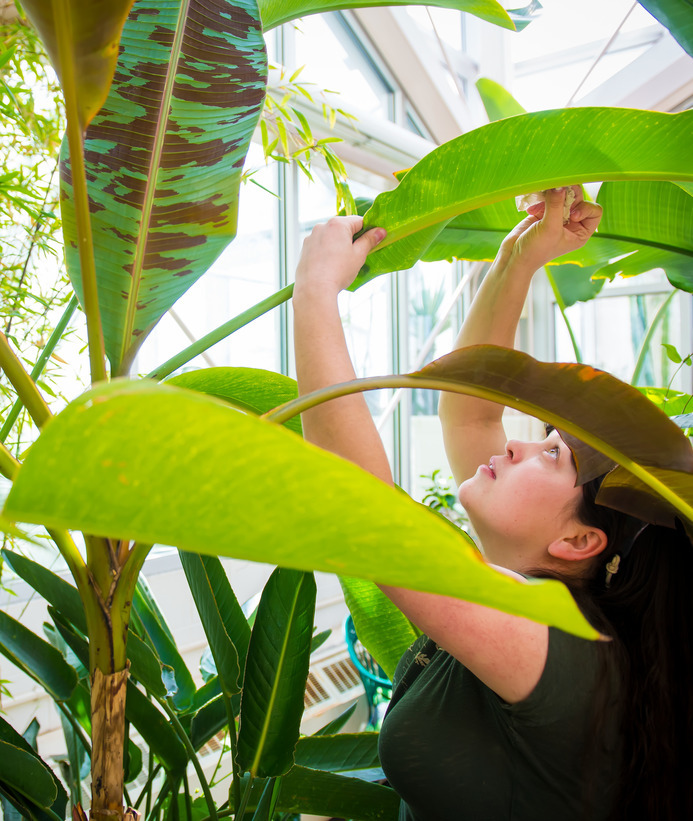 Student observing plant in observatory