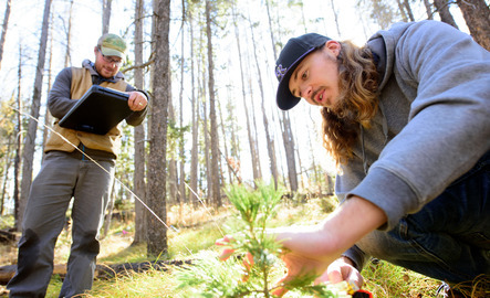 Two students out in the field examining a tree