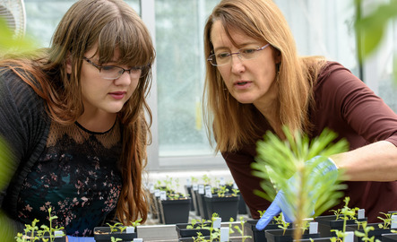 Student and professor examining plant