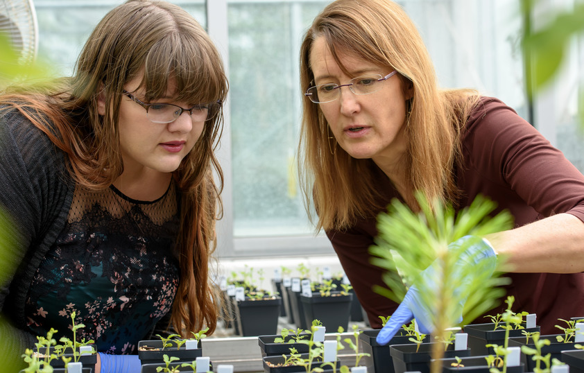 Professor and student examine a plant