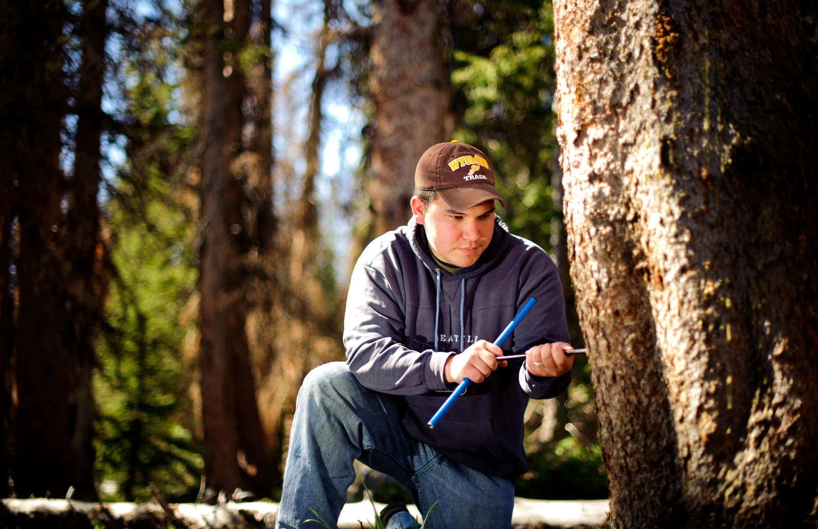 Researcher examines tree