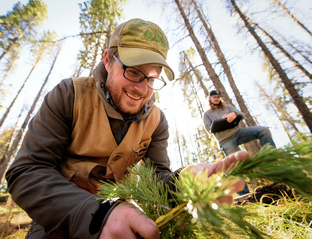 Two researchers out in the field