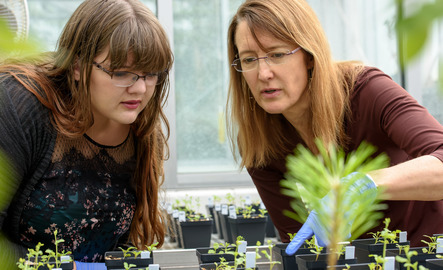 A professor and a student examine a plant