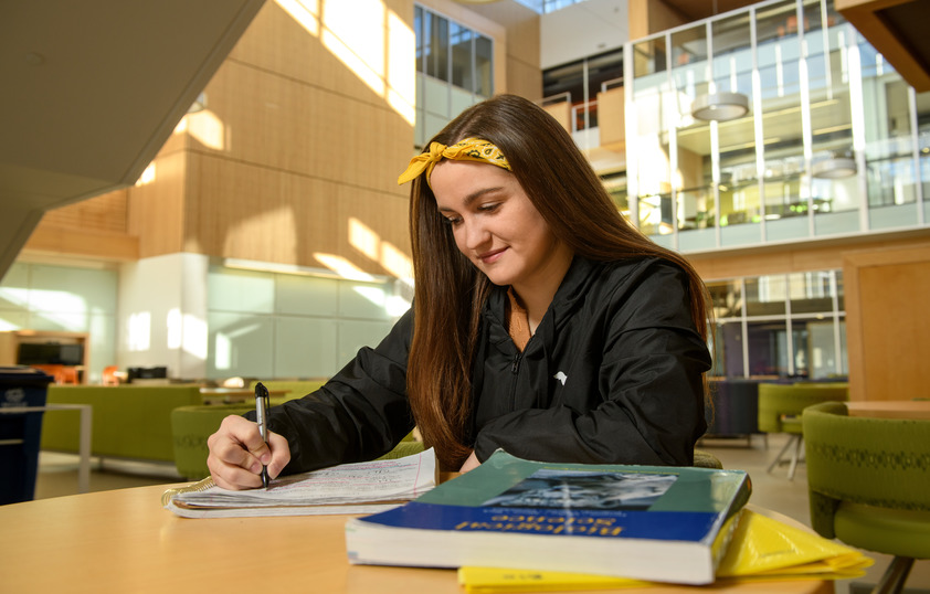 Student doing homework