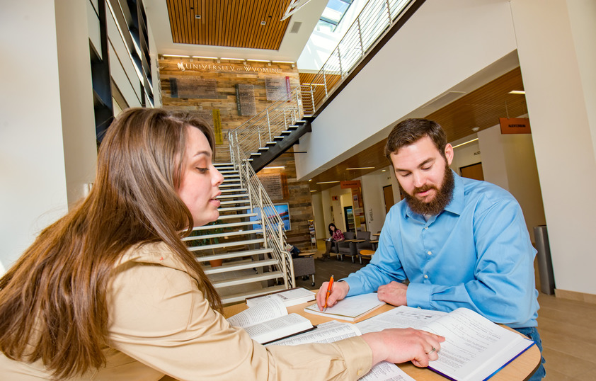 Two students studying