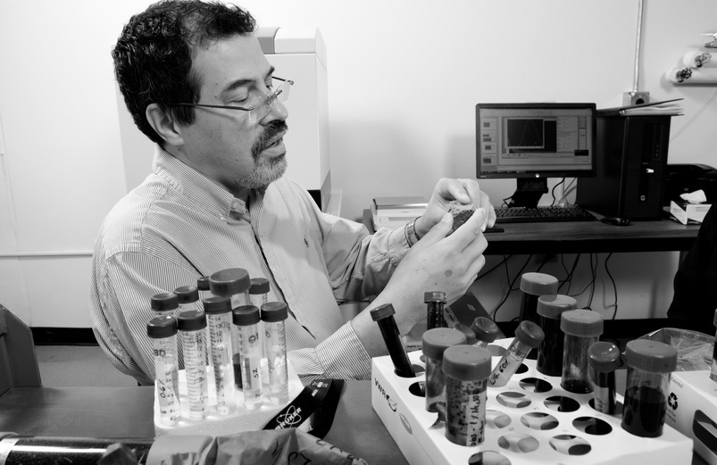 Professor organizes test tubes in the lab