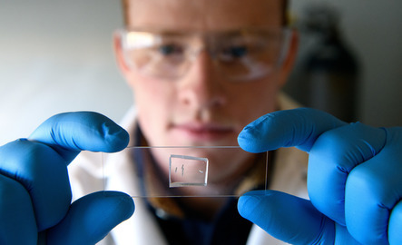 Student looking at microscope slide